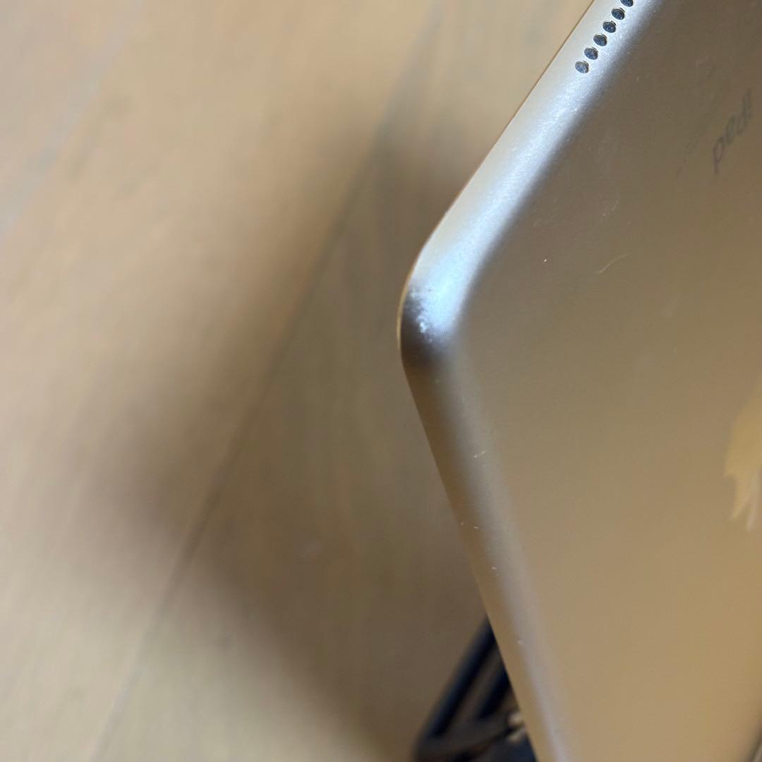 iPad mini第４世代wi-fi128GBバッテリー89.9%背面傷あり