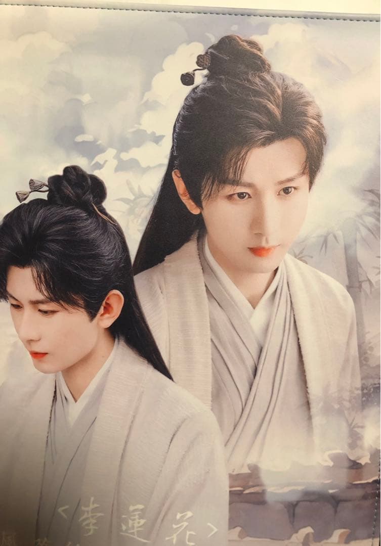 成毅 チョンイー A4ポスターアルバム バインダー ファイル A4カード50枚入