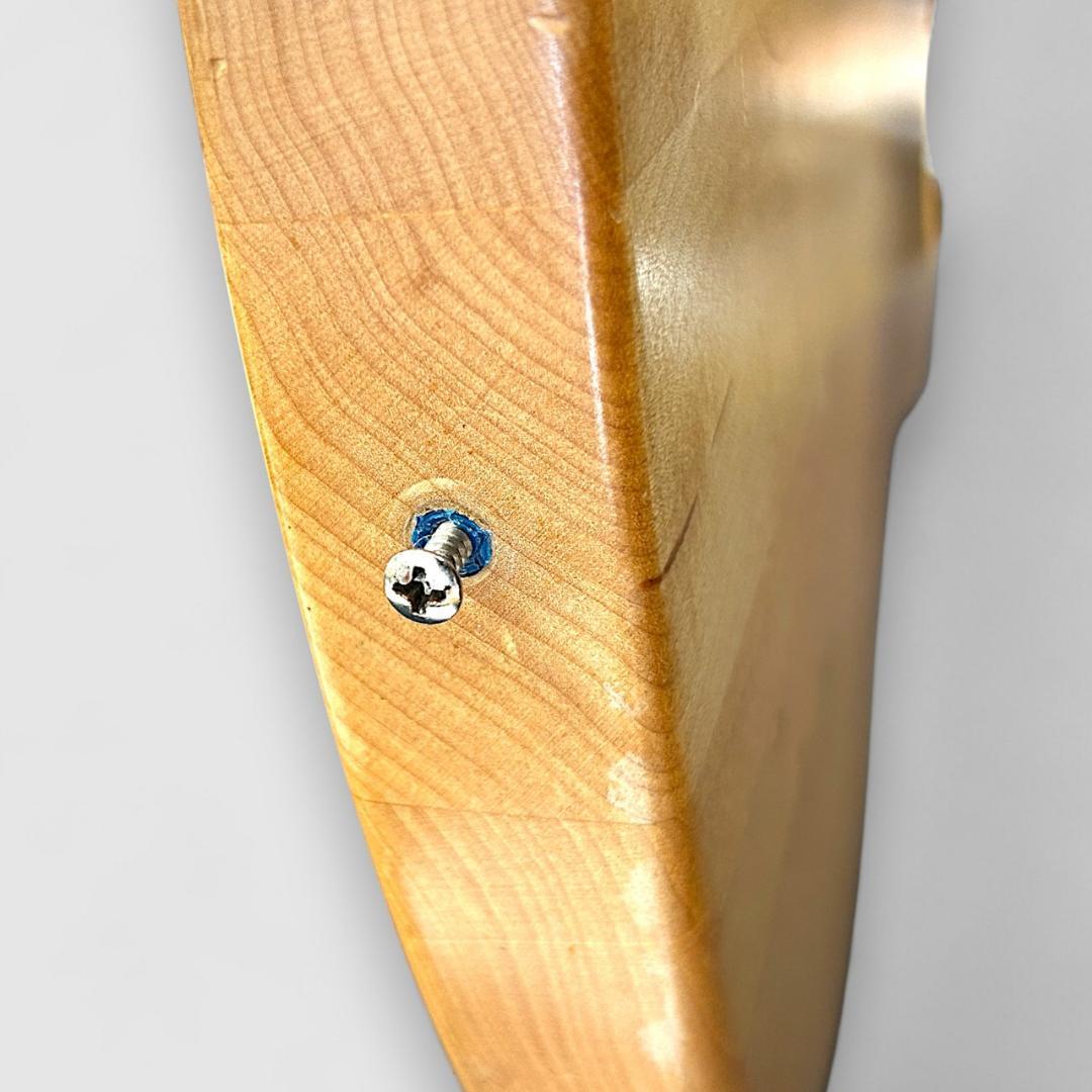 ギター Gibson SG Special Raw Power