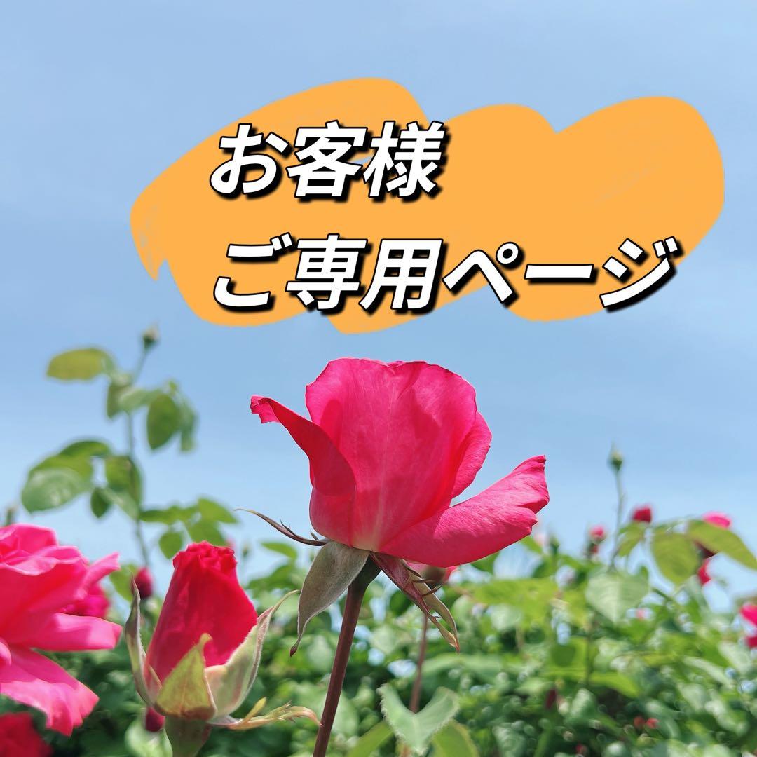 花びらケシパールネックレス　スティックバロックパールネックレス　一連　淡水本真珠