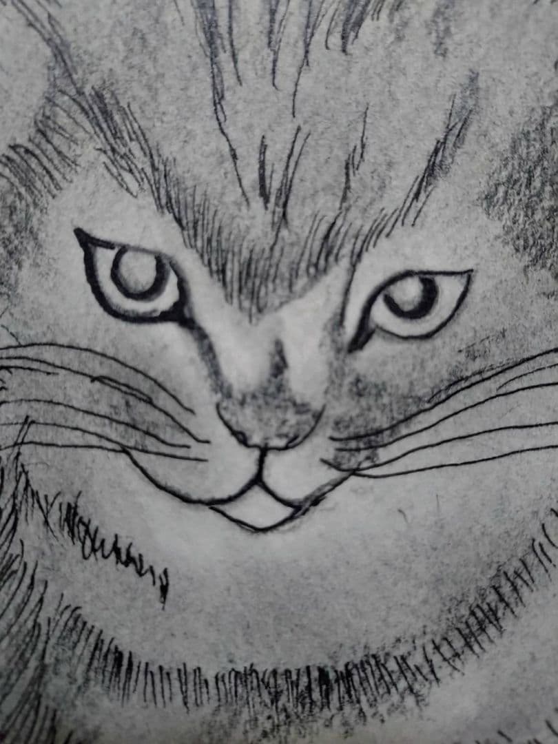 藤田嗣治【座る子猫】手描き作品/表裏サイン有り/鉛筆/逸品/額縁/額装