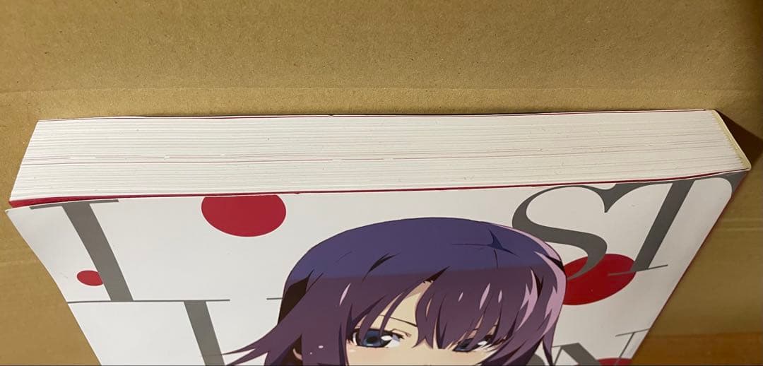 物語シリーズ10th Anniversary illustration Work