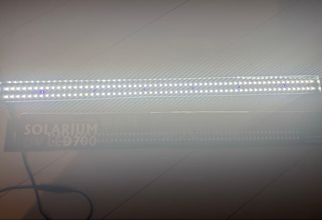 SOLARIUM UV LED 700 爬虫類用ライト　紫外線ライト