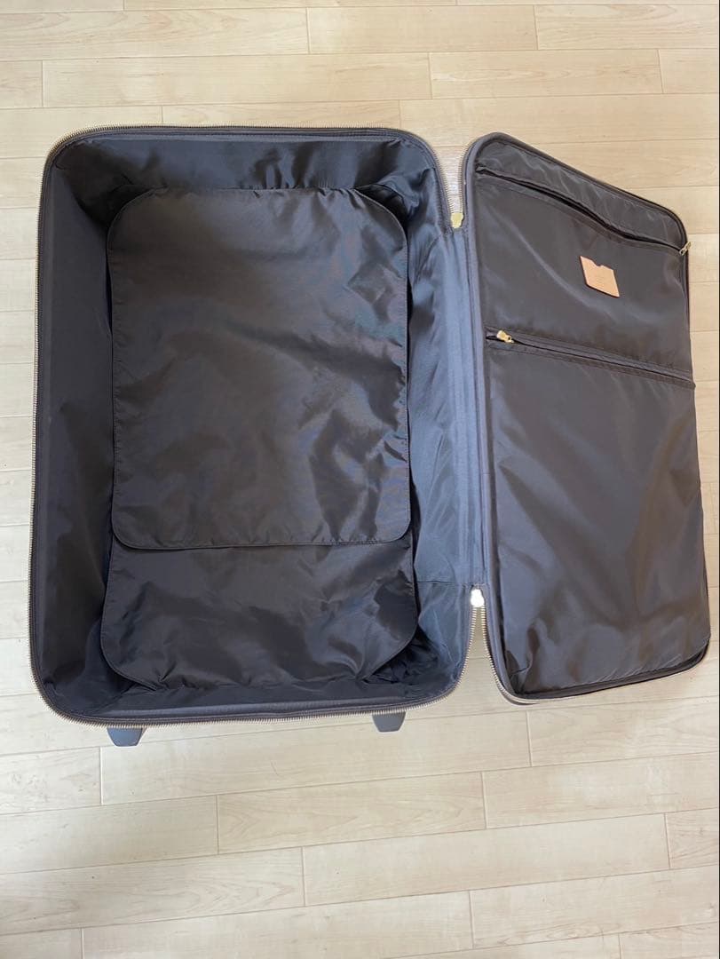 ルイヴィトン　ペガス65 キャリーケース　ビンテージ　モノグラム　オブジェ