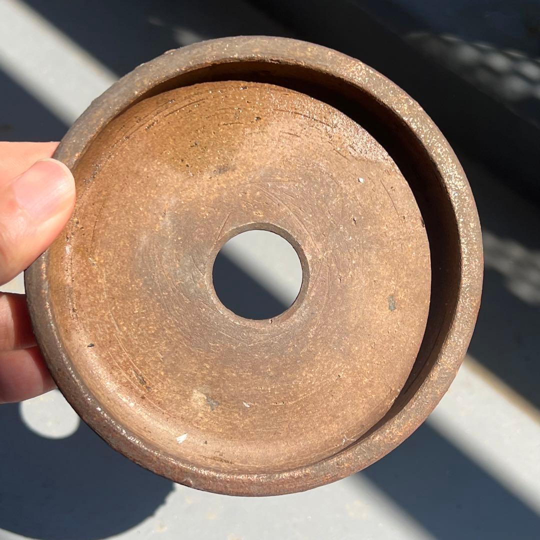 772.平安虹泉 梨皮鼓釘丸 盆栽鉢 植木鉢 12.4*1.8cm