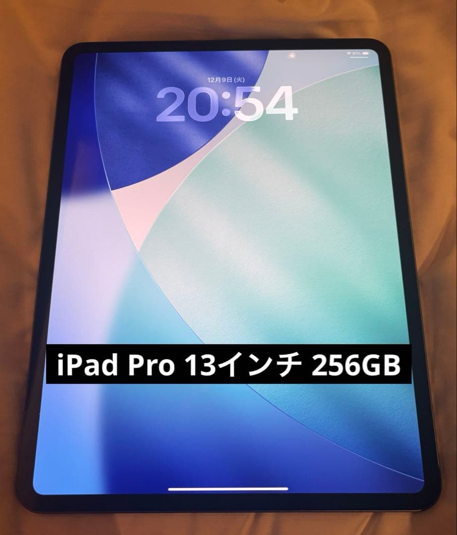 iPad Pro 13インチM4 256GB 本体のみ