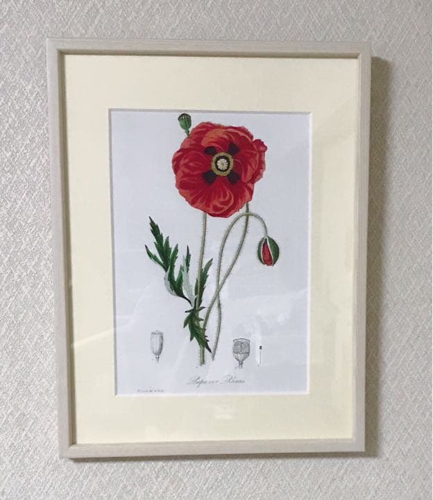 ★イギリス　ボタニカルアート　⑦