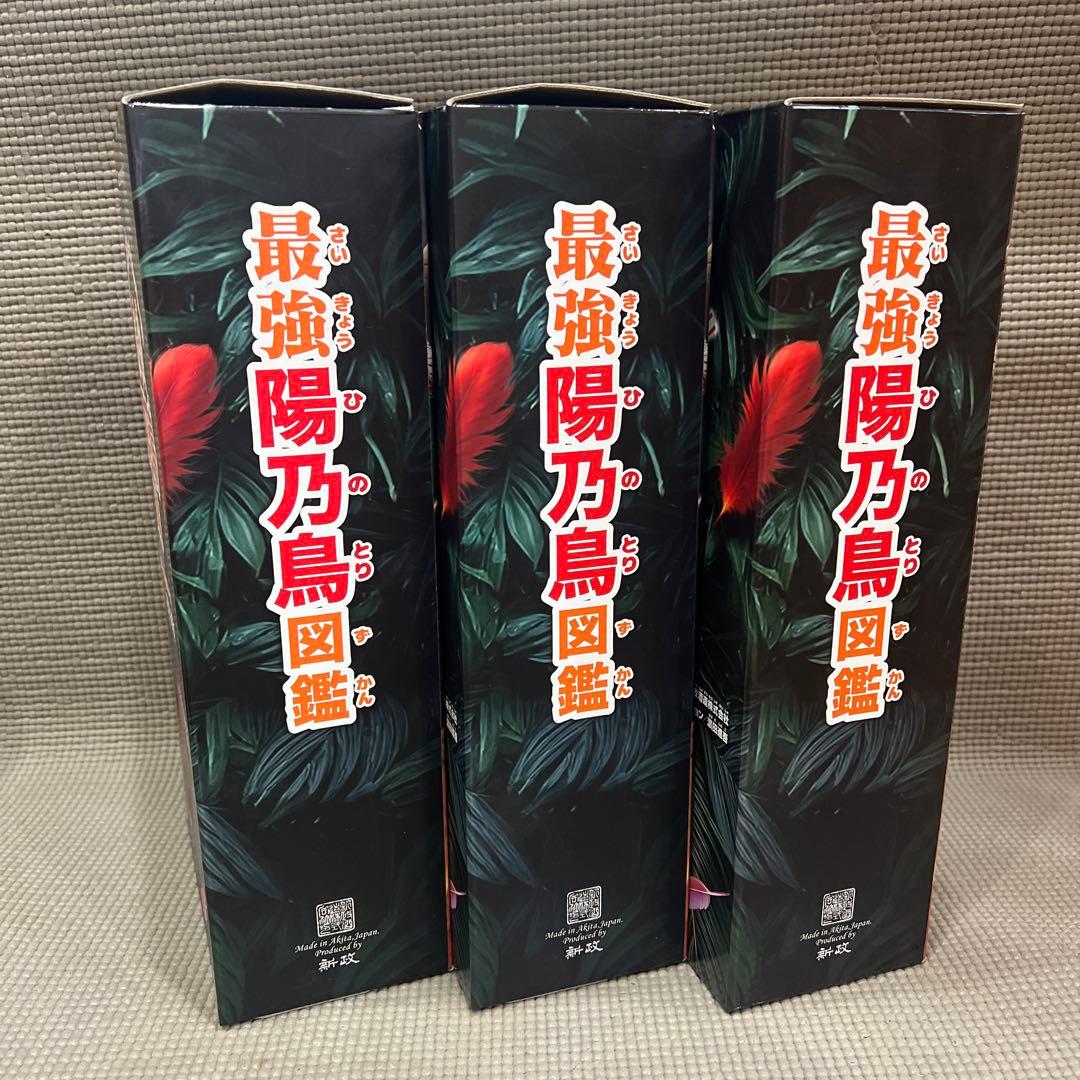 2025 新政頒布会 新政