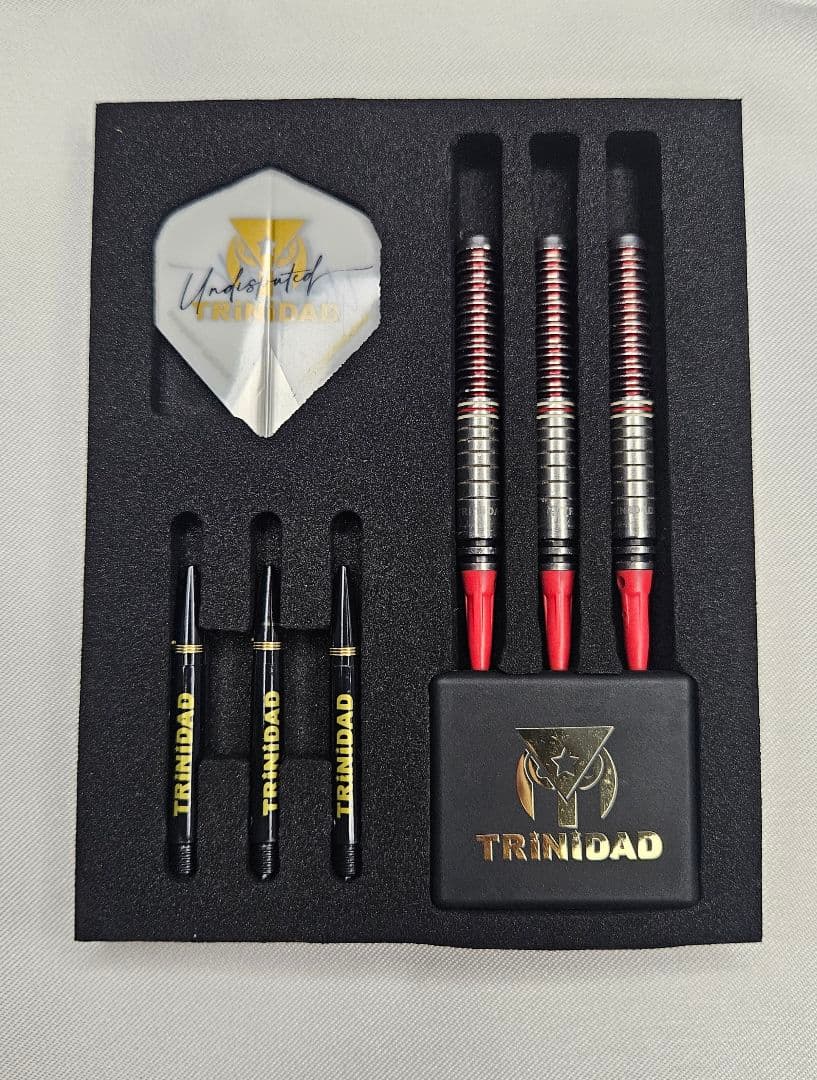 TRiNiDAD Gomez Type16(ゴメス16) 山田勇樹選手 ダーツ