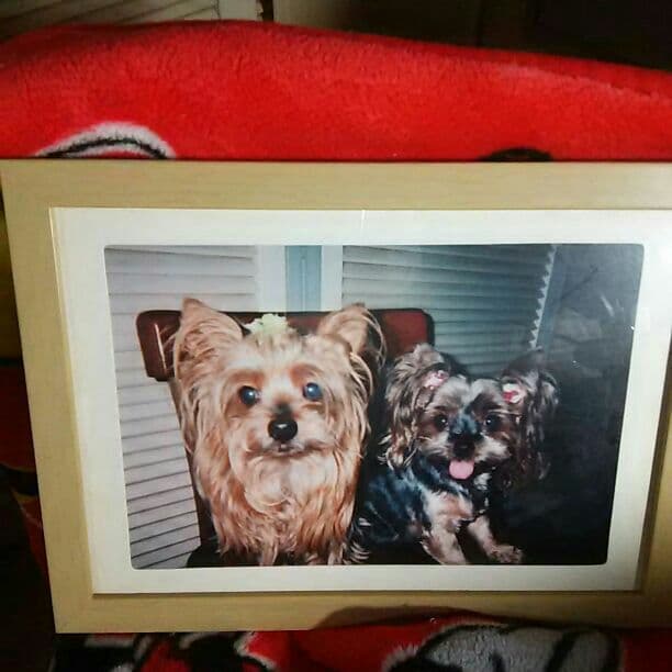 依頼用写真です。