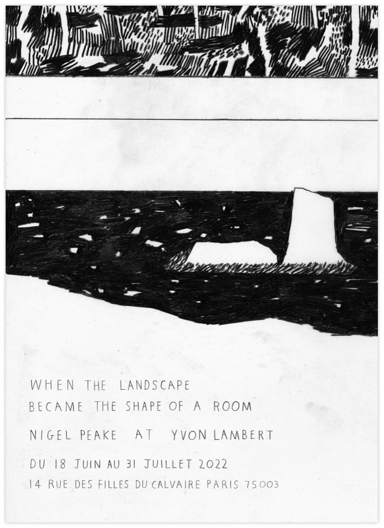 【国内未入荷フランス限定】ナイジェルピーク Nigel Peake 希少ポスター