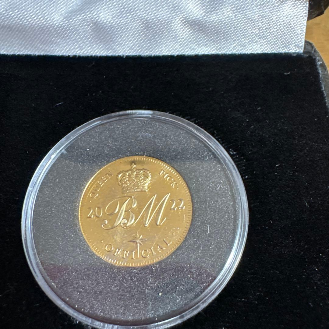 2022Brian May Another WorldSixpencギターピック