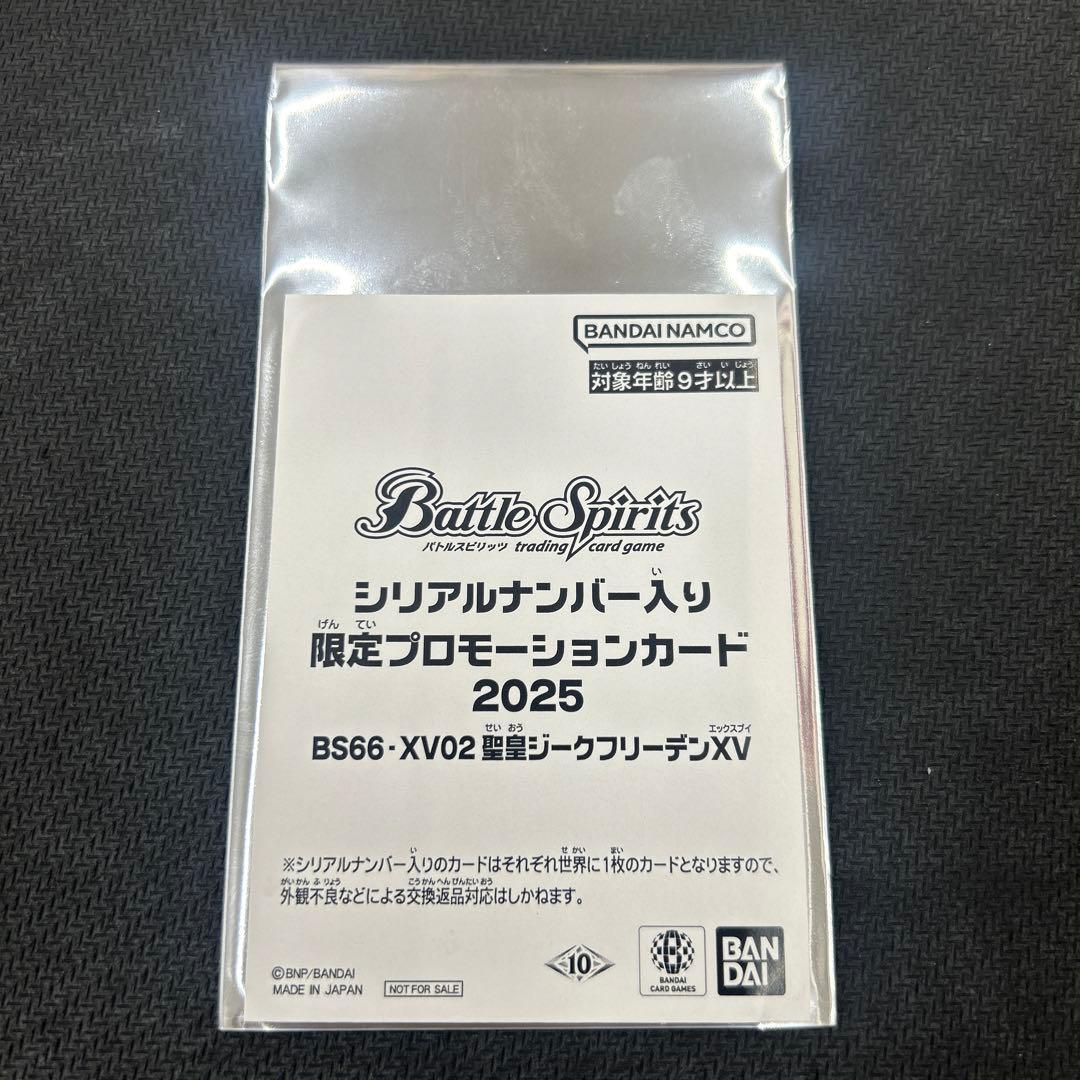 聖皇ジークフリーデンXV シリアル