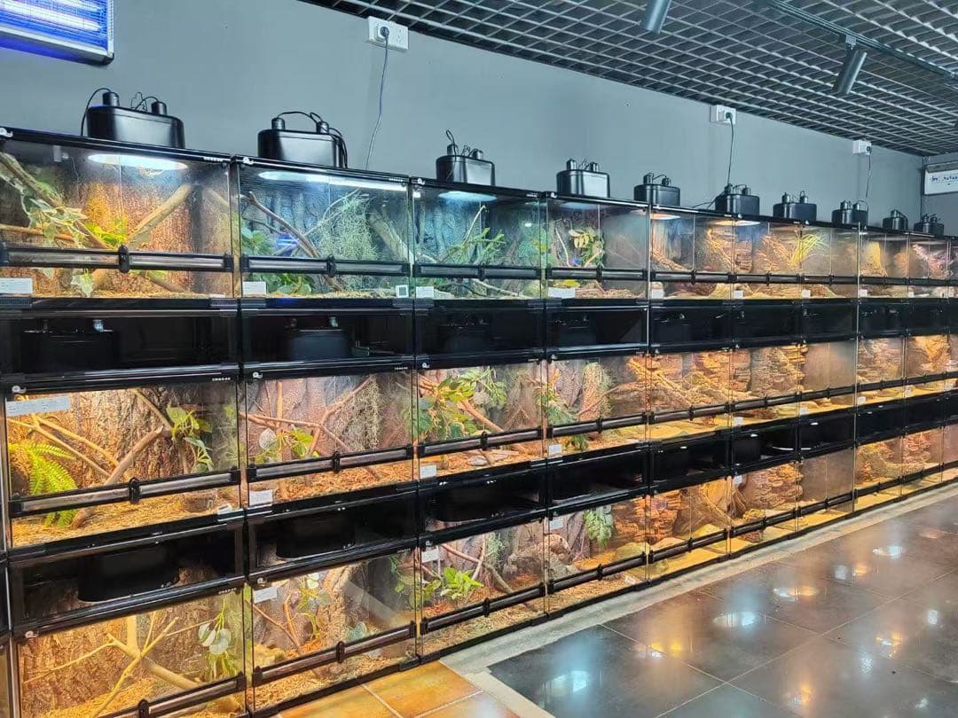 90x45x45cm爬虫類両生類飼育ケージ、組み立て式　ガラス飼育ケージ卸販売