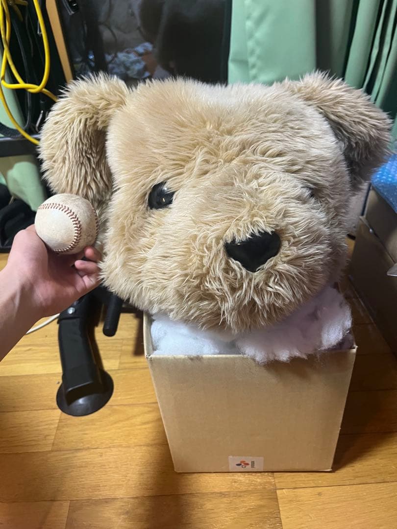絞め技練習で犠牲になったクマのぬいぐるみの生首