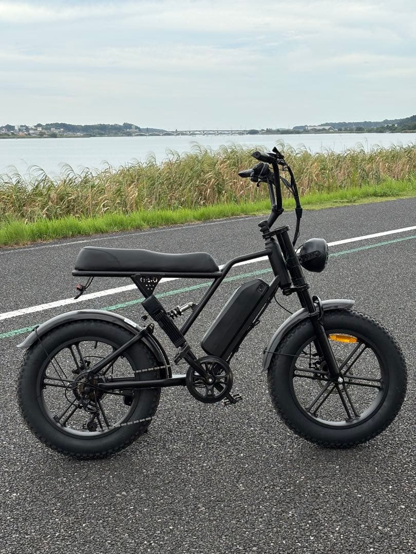 【新品】電動アシスト自転車 e-bike カスタム品 コメント必須