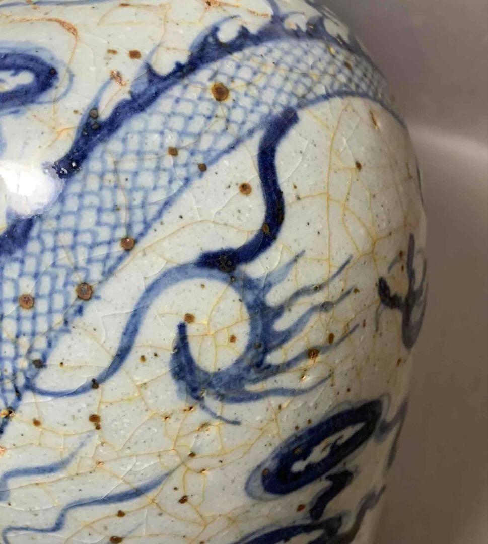 中国 染付龍絵梅瓶　f2250917