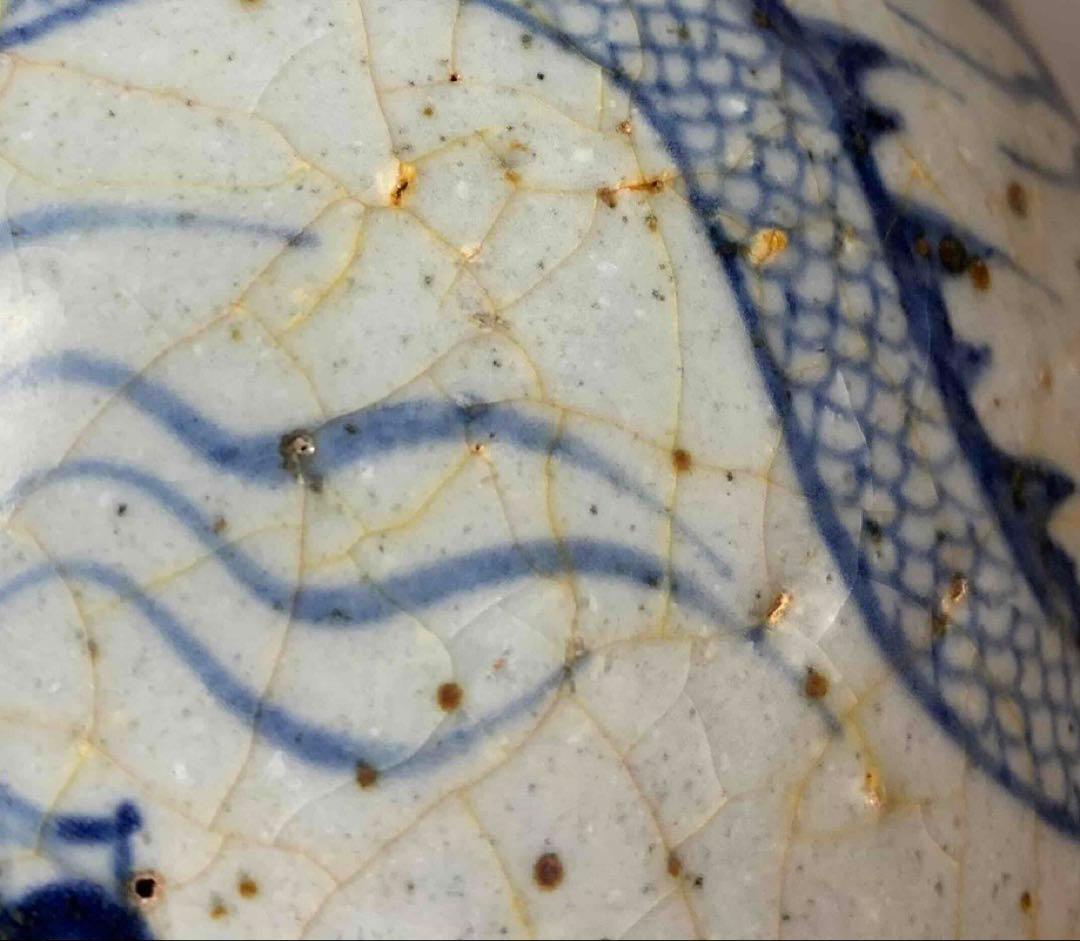 中国 染付龍絵梅瓶　f2250917