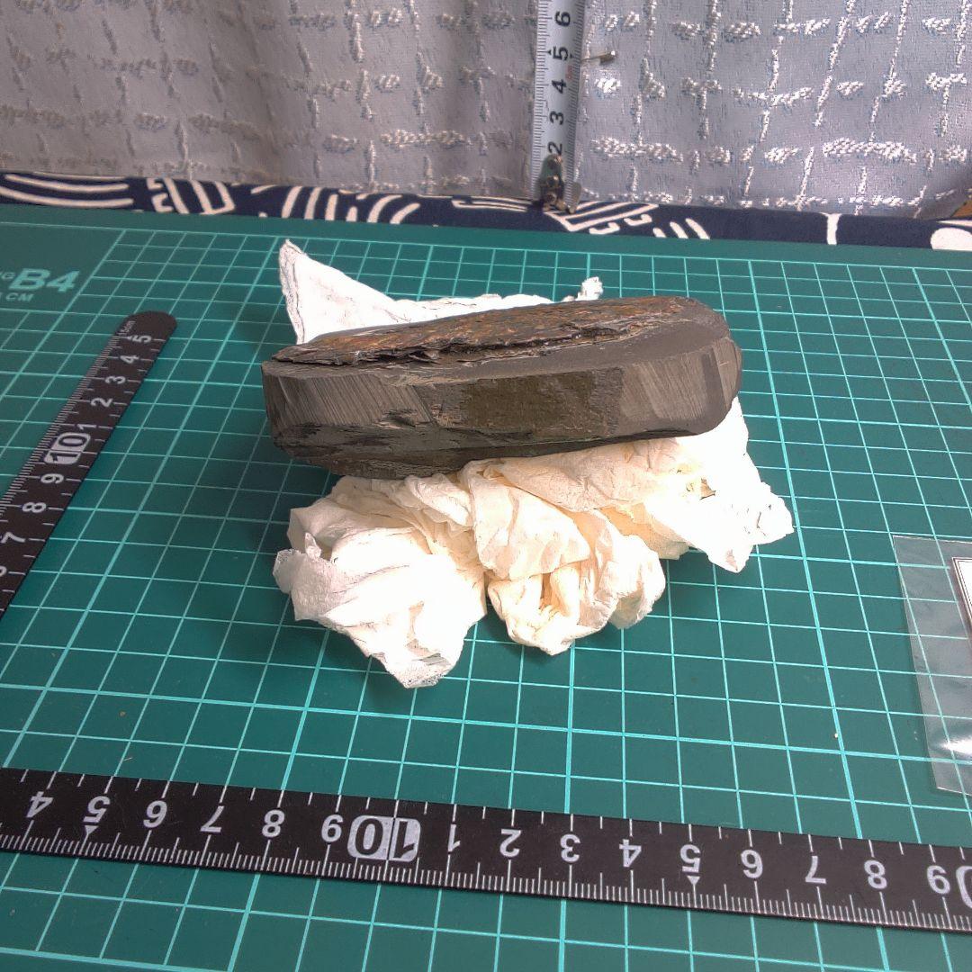 小物１ Caloceras Johnstoni 化石 ジュラ紀