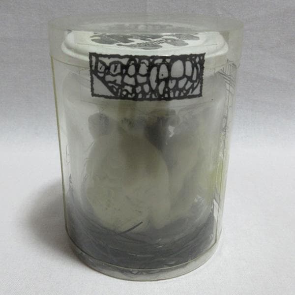 JAR OF PUSパスヘッドPUSHEADフューチャーモデルズセプティックデス