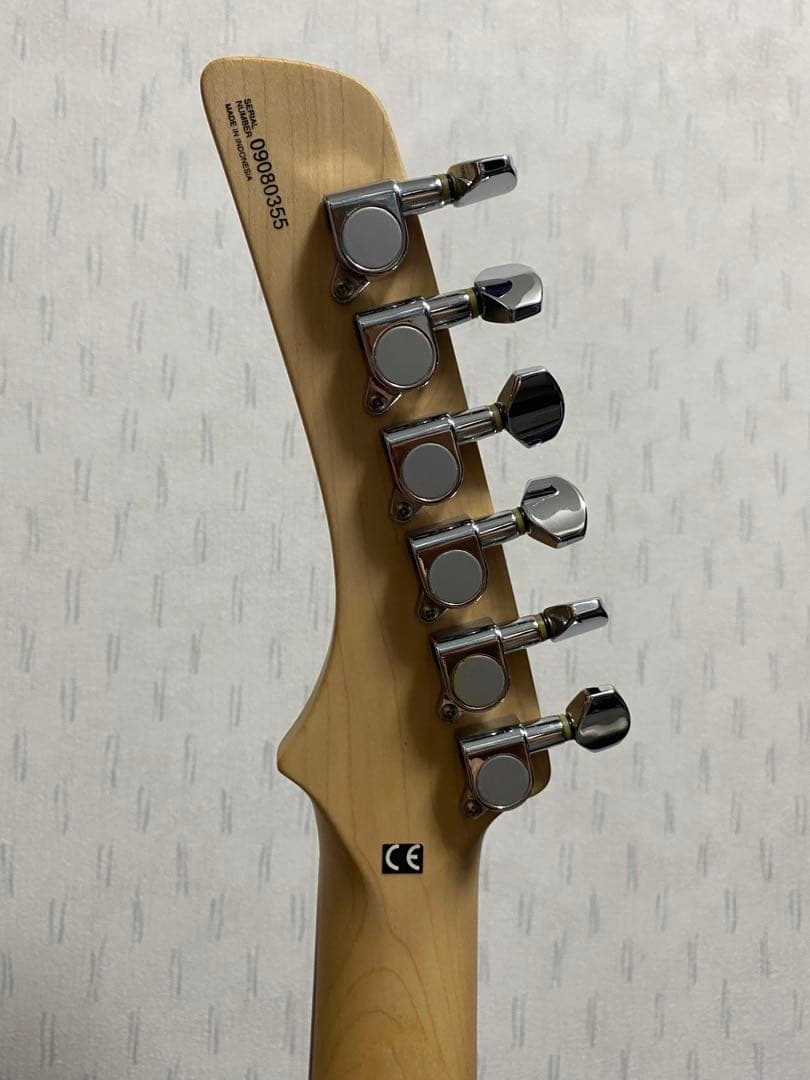 パーカー　エレキギター　ソフトケース付き