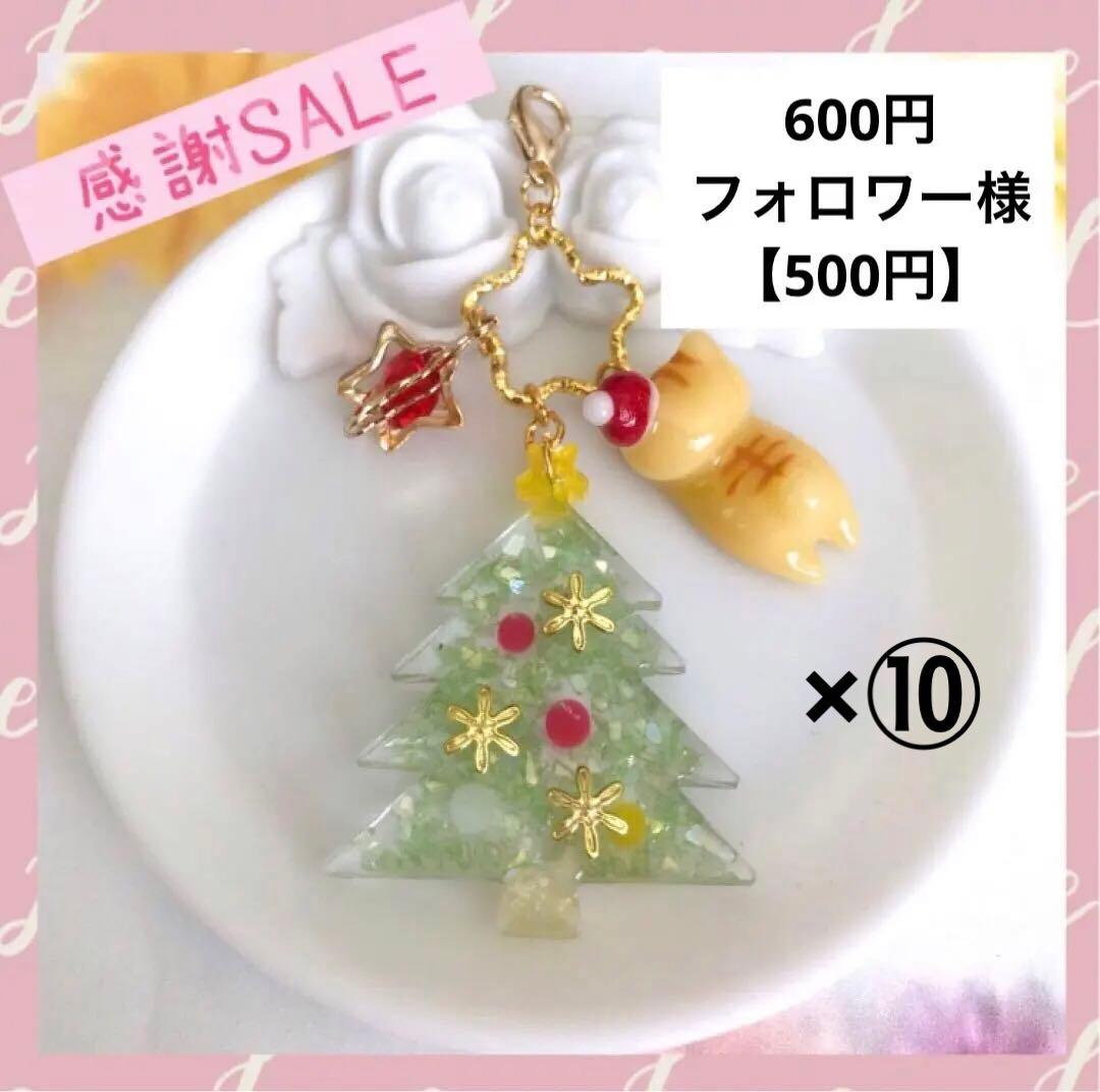 【KAKORO·͜·⭑】