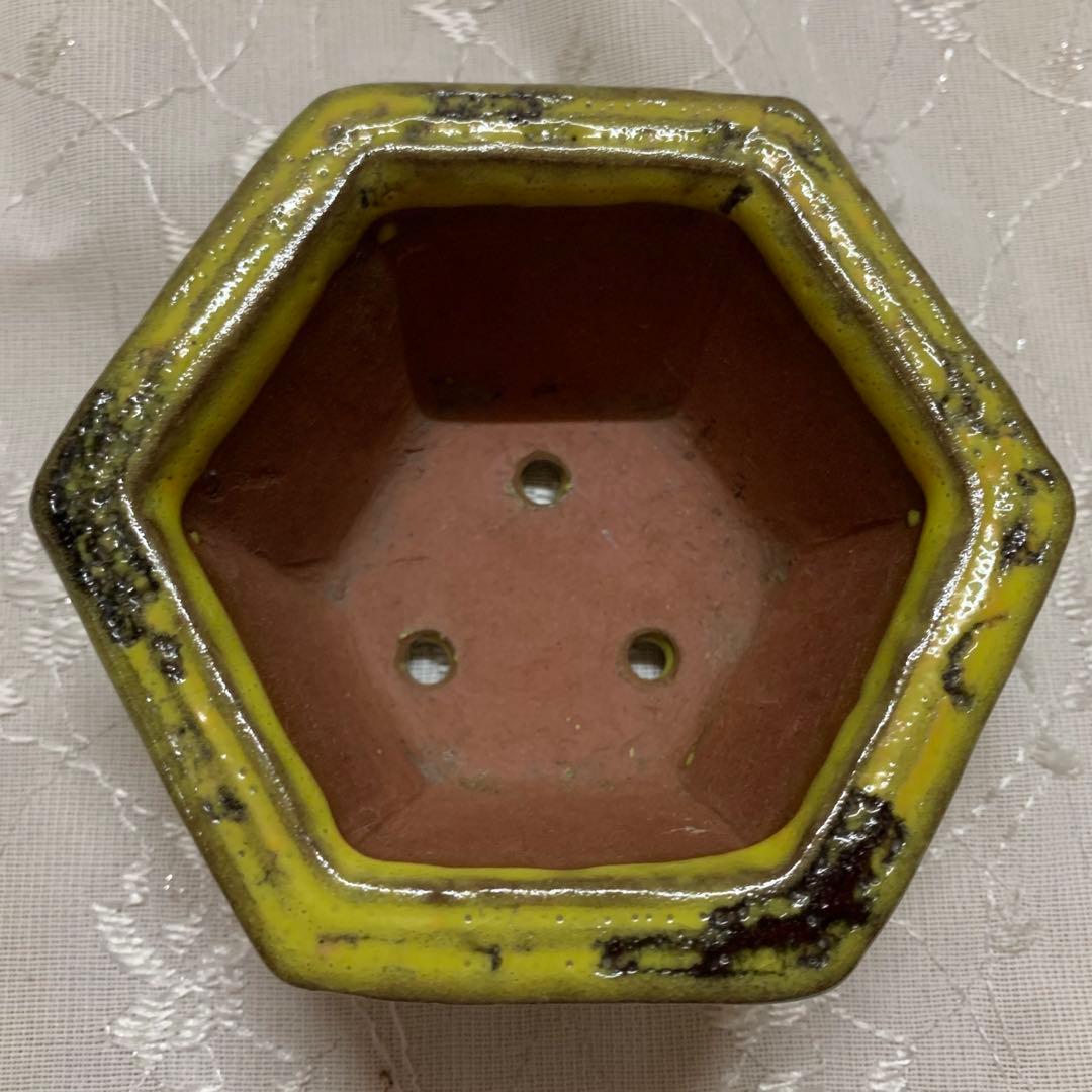 六角　盆栽鉢　黄
