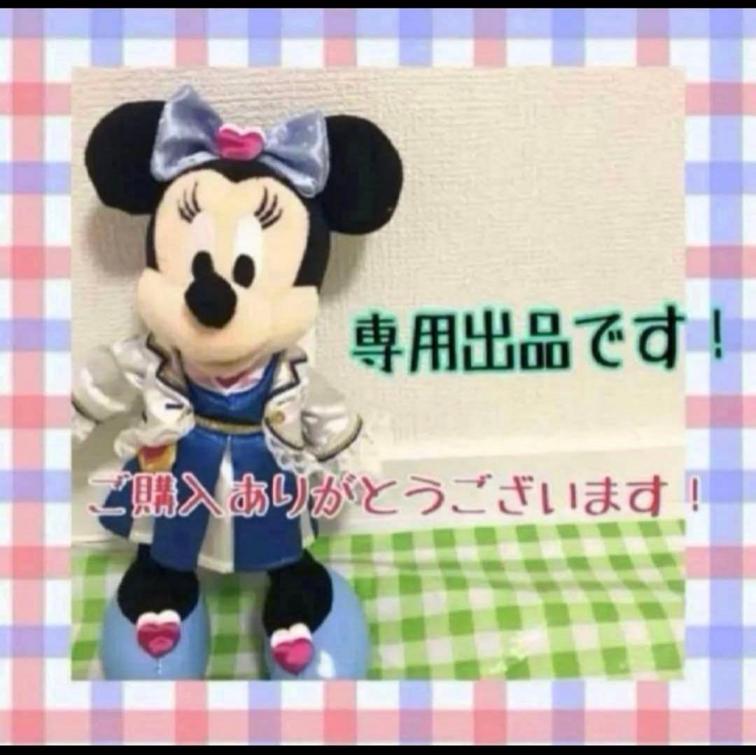 ディズニー　スーベニアスナックケース　パルパルーザ　ミニーのファンダーランド