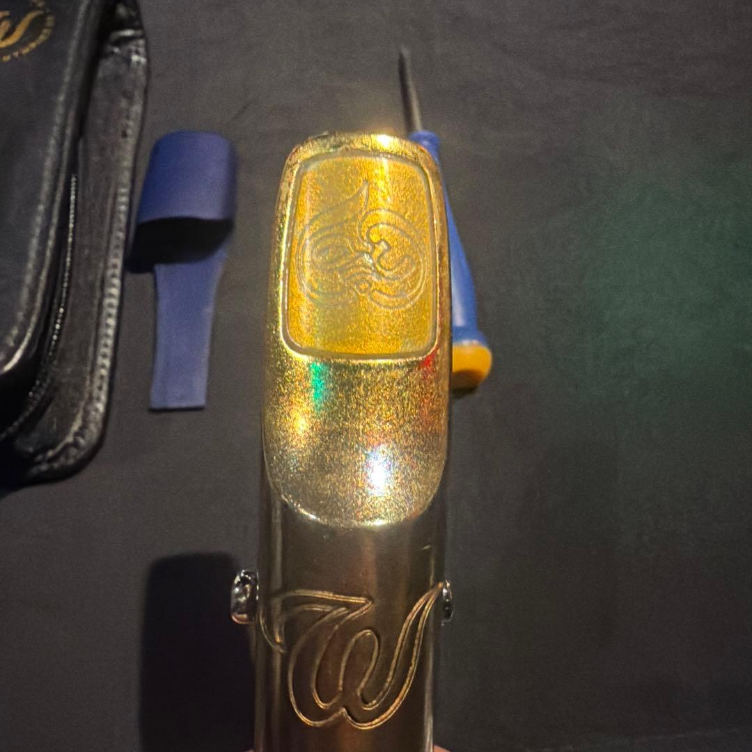 セオワニ　テナーマウスピース　ドルーガ　12⭐︎