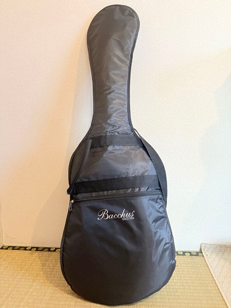 【ほぼ新品】Bacchus BTE-1-RSM/M BLK