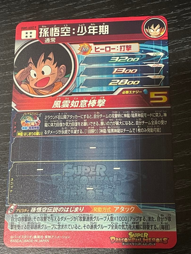 SDBH ugm5-asec p パラチビ