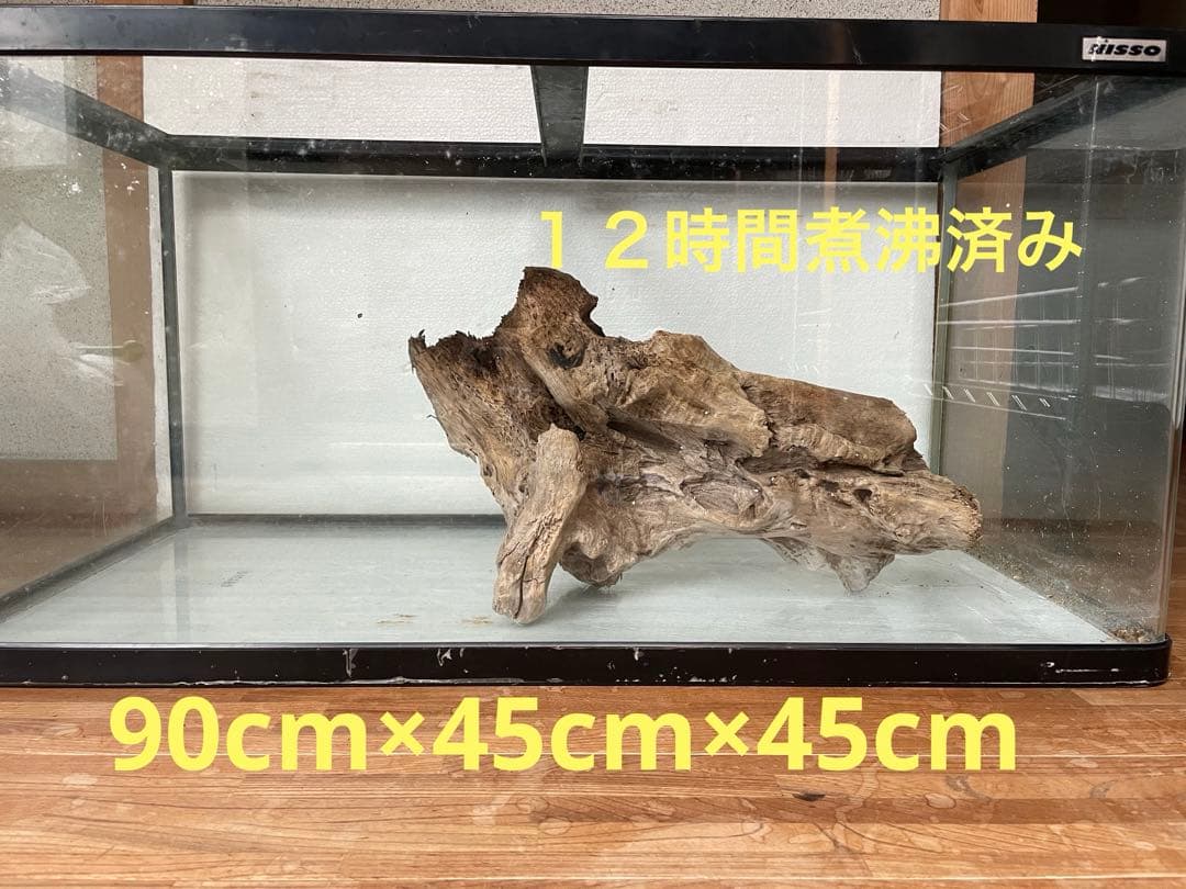 大型　☆アクアリウム　生花　テラリウム 爬虫類　天然流木 ホーンウッド　⭐︎