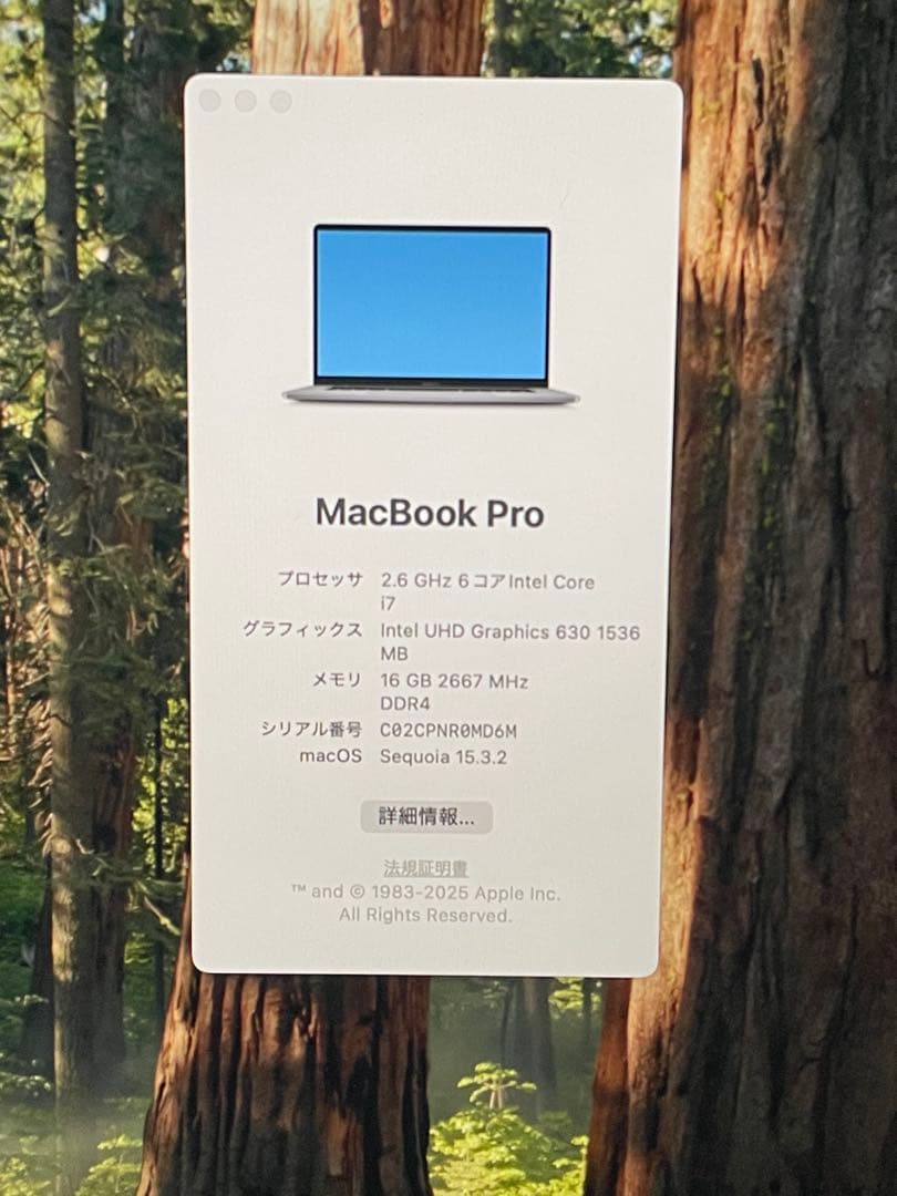 t*n様 MacBook Pro 16インチ 16GB 512GB