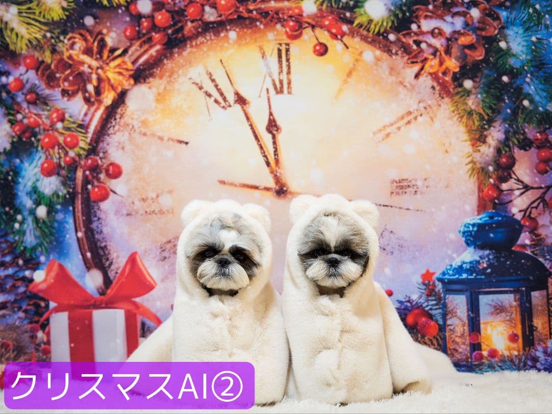 背景布×15枚+3　ペット撮影用フォトブース　トリミングチョーカー販売中