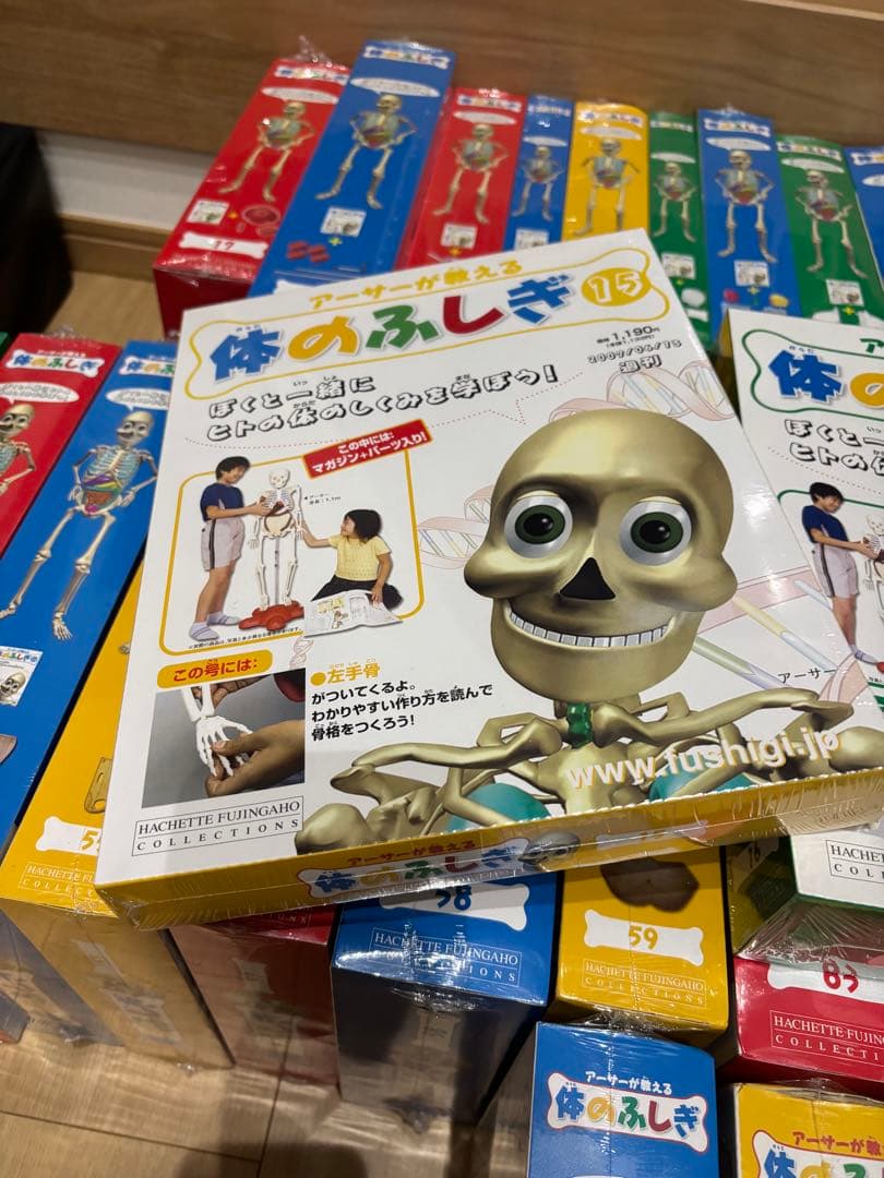 体のふしぎ 人体模型シリーズ