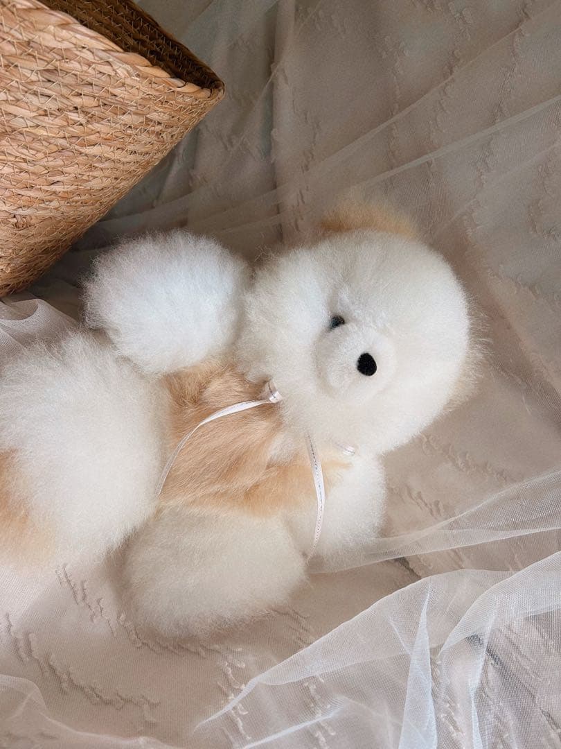 ふわふわアルパカテディベア (ペルー直輸入) ホワイト×ベージュ