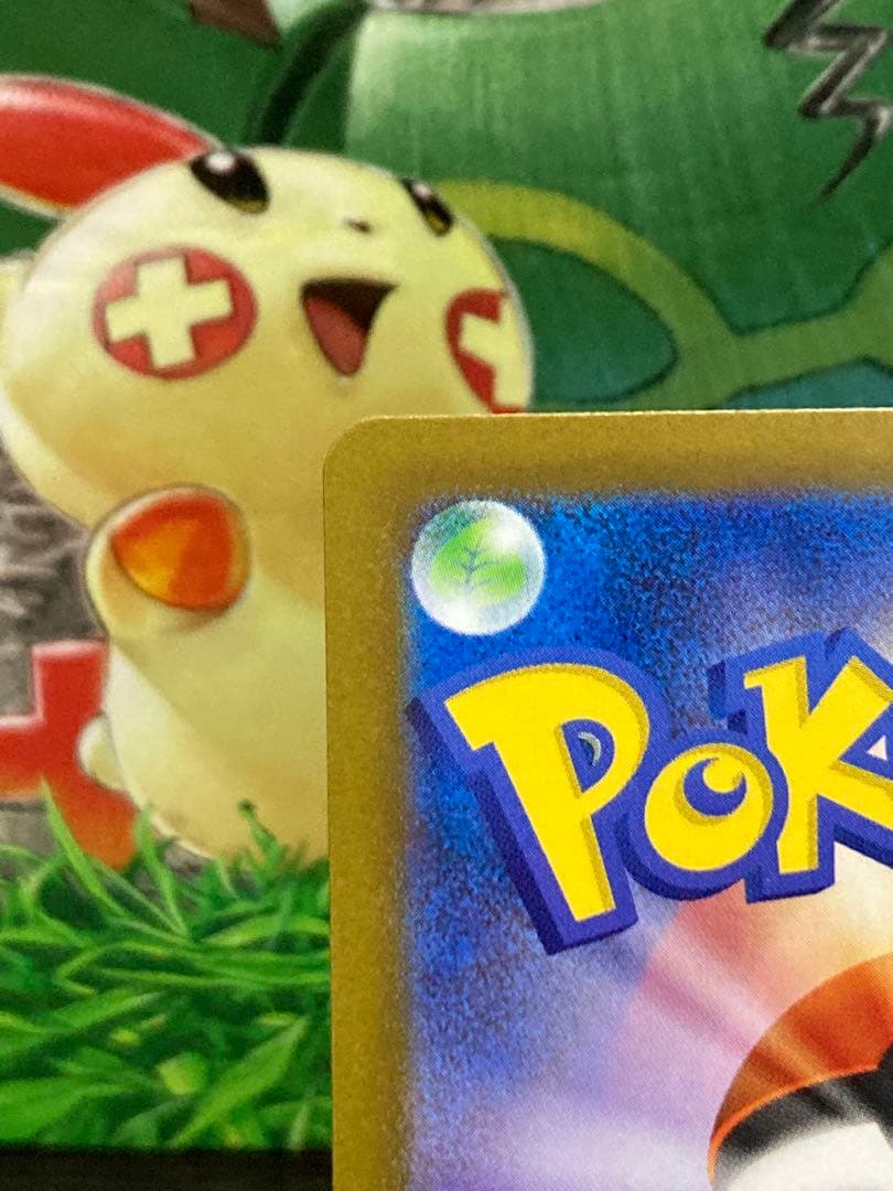 リーリエ コレクション SAR SR AR