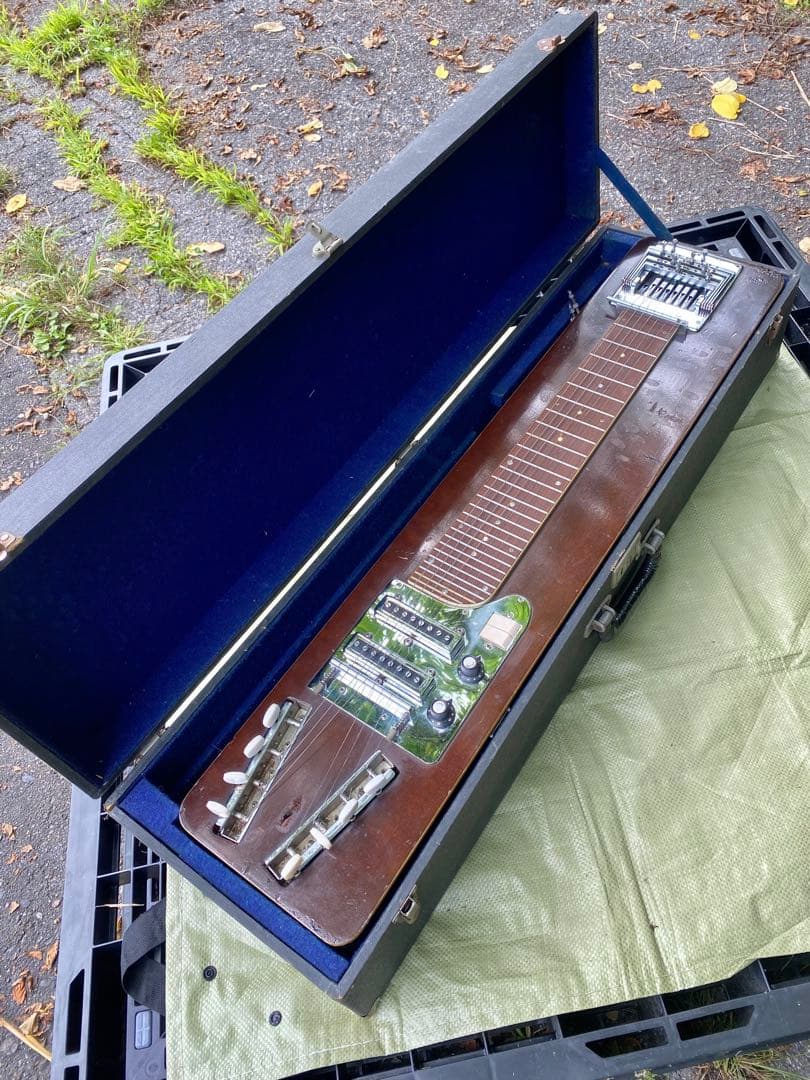 TEISCOテスコ製8弦ペダルスチールギター Model EG-DH 希少‼︎