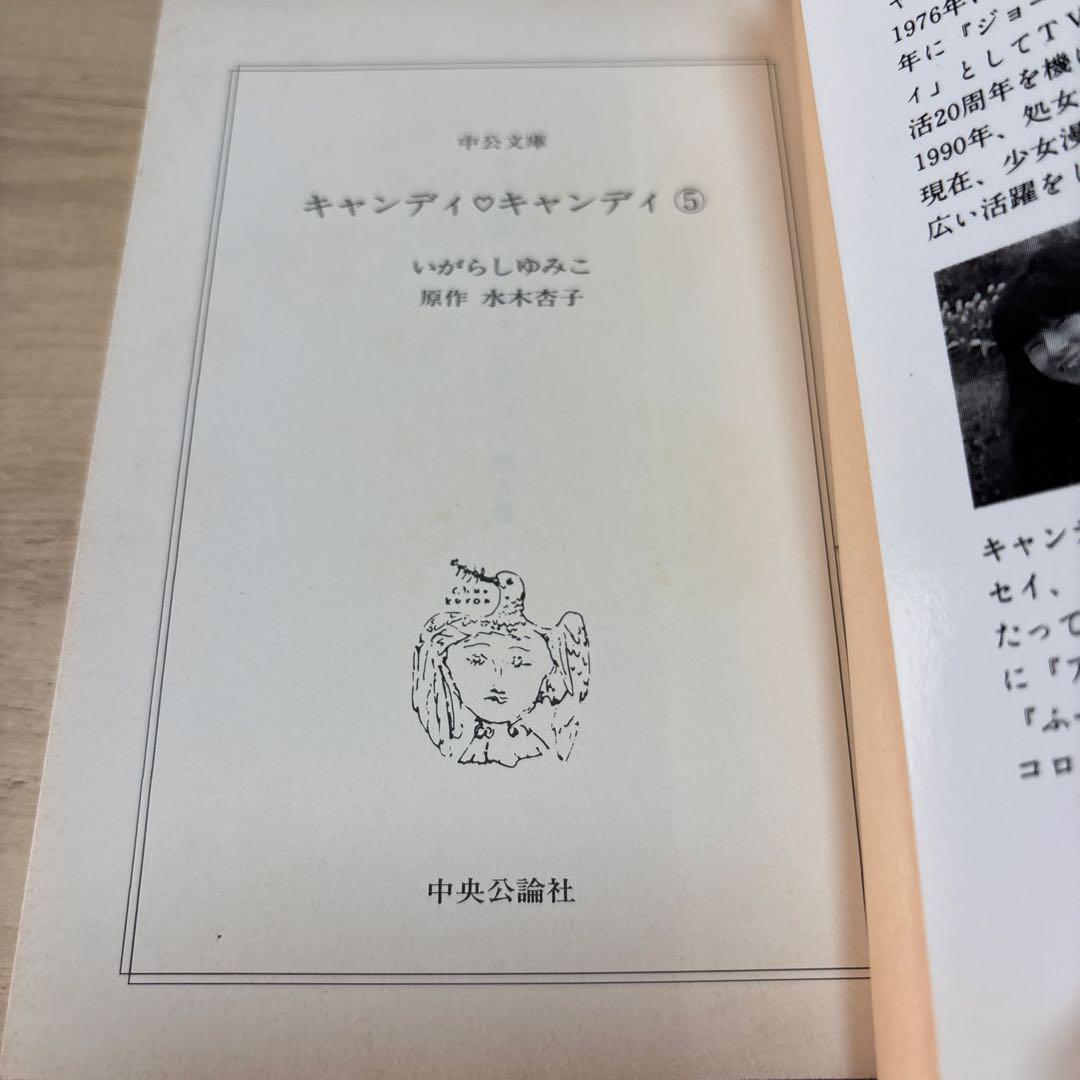 キャンディ♡キャンディ いがらしゆみこ 文庫版 全巻セット②