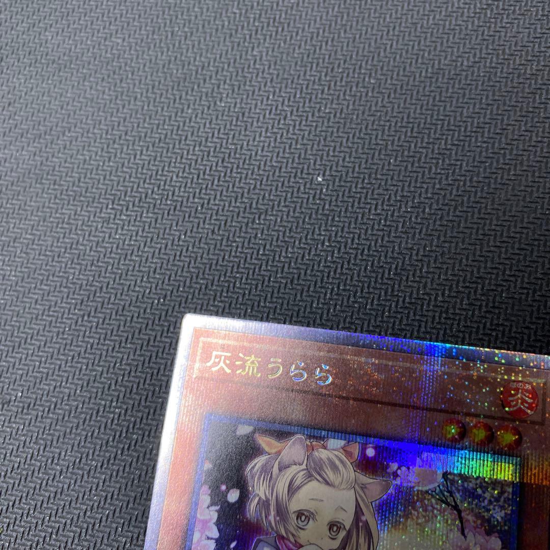 遊戯王 灰流うらら 25th シークレット　イラスト違い