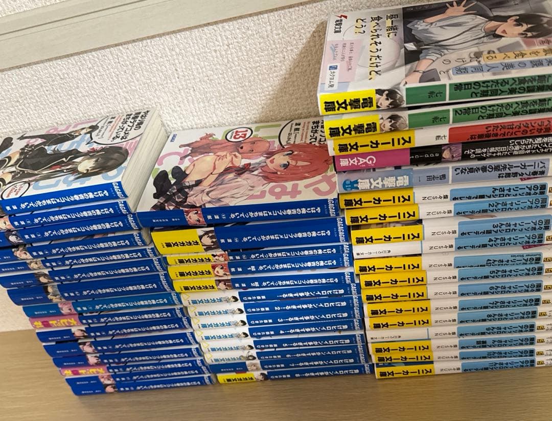 ライトノベルセット【バラ売り不可・購入の前に説明欄をご欄確認ください】