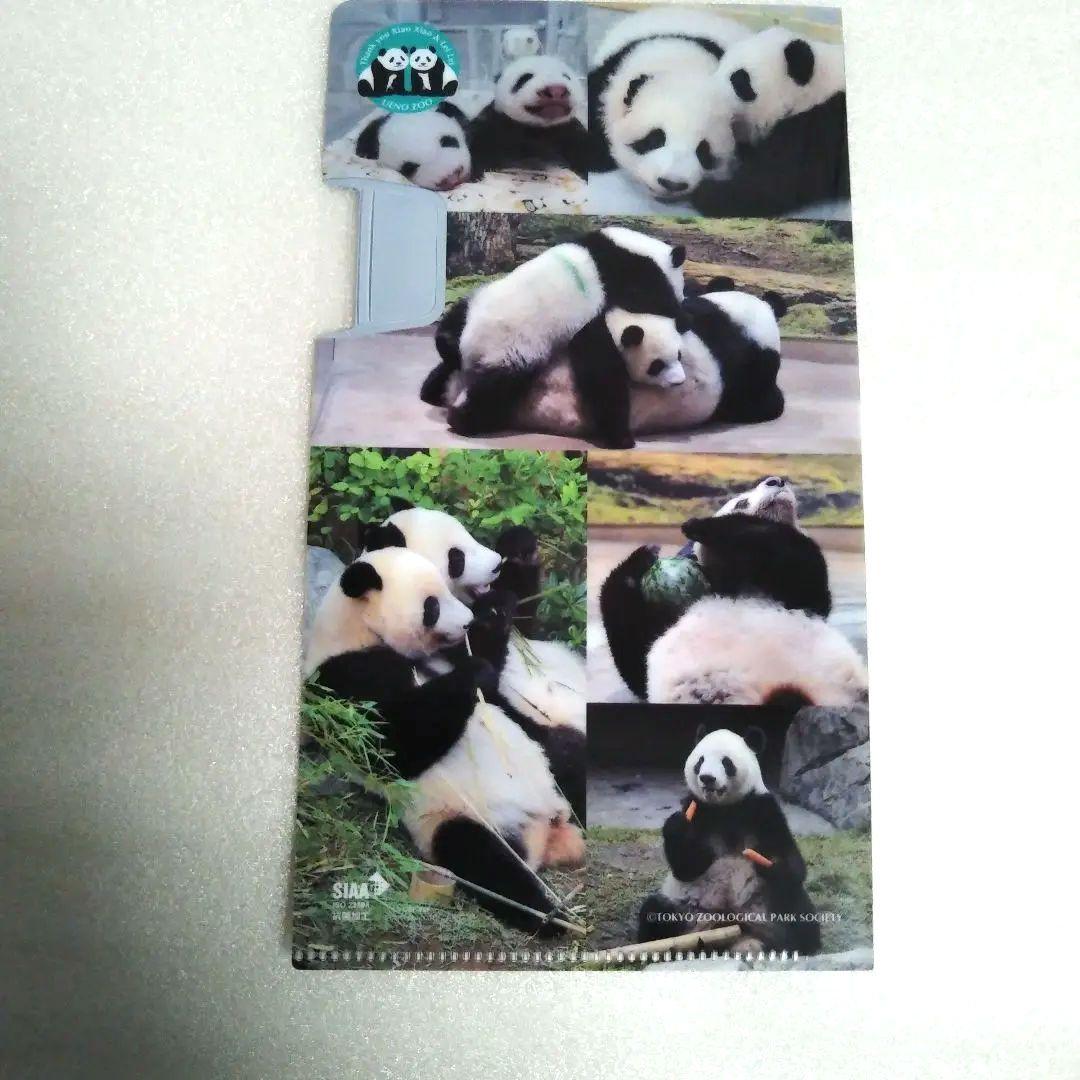 上野動物園 パンダ シャオシャオレイレイ 親子パンダ＆マルチケース ＆ファイル