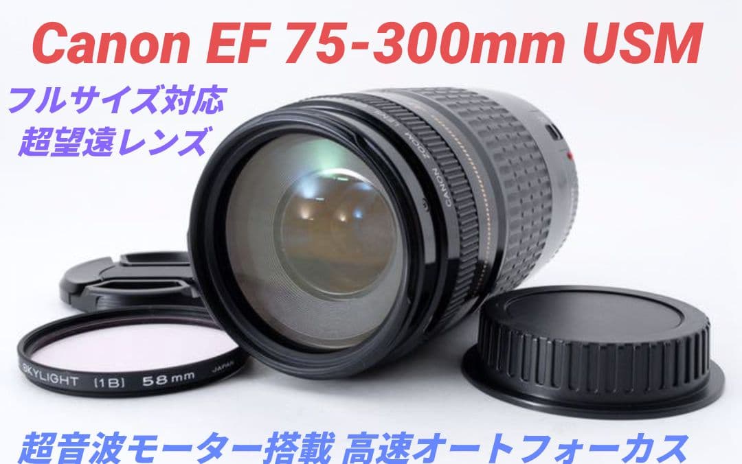 1月14日限定②OP付【超望遠レンズ】Canon EF 75-300mm USM