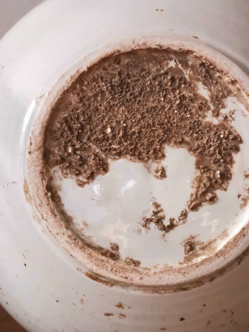 朝鮮美術　李朝　白磁　徳利　花瓶　古陶磁　古民藝　箱付　古道具　Q2316