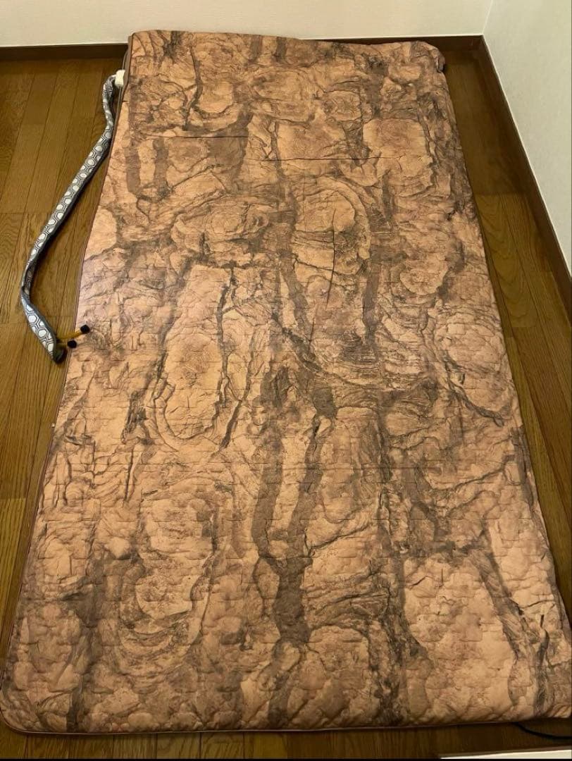 テルスガイザー