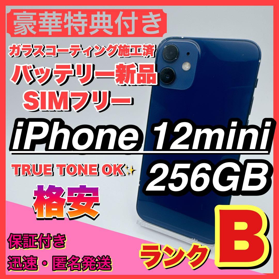 【格安】iphone 12 mini 256GB グリーン 小型 新品電池