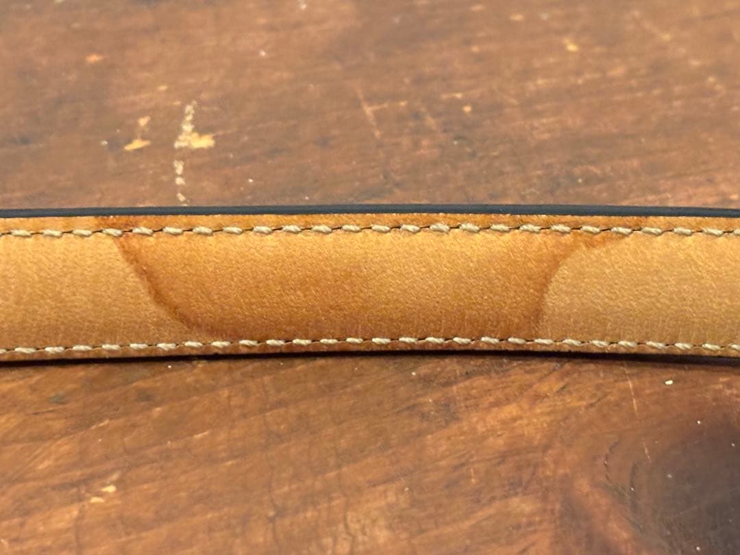 COACHレザー 犬用リードと首輪セット