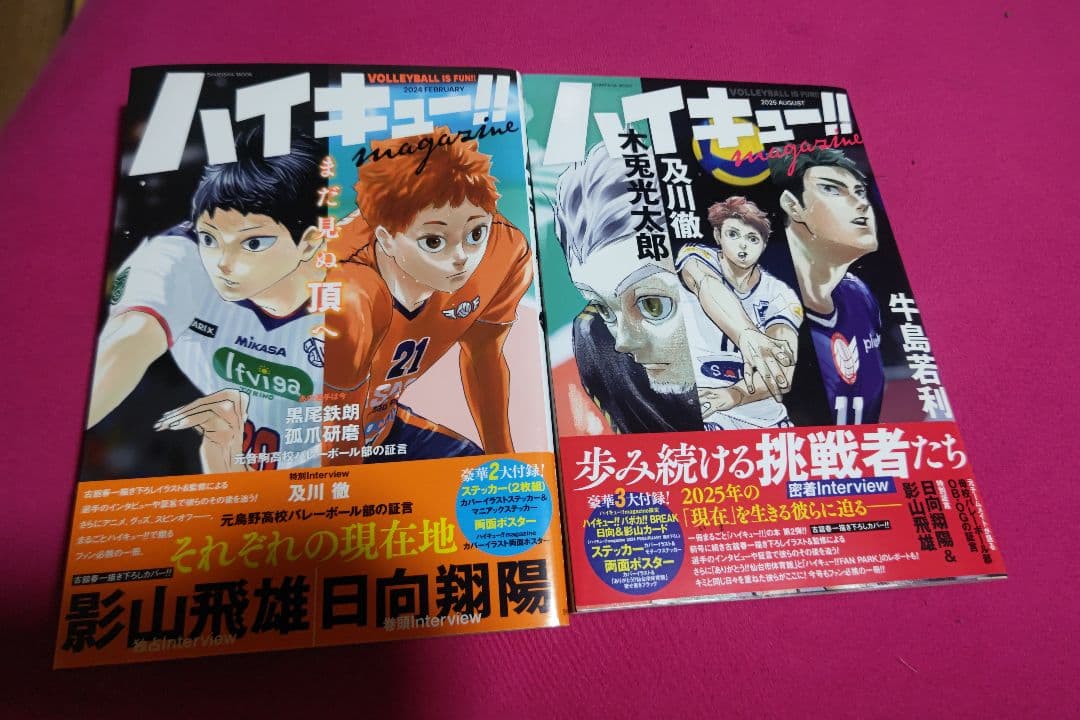 ハイキュー!! 全45巻セット(美品)+その他