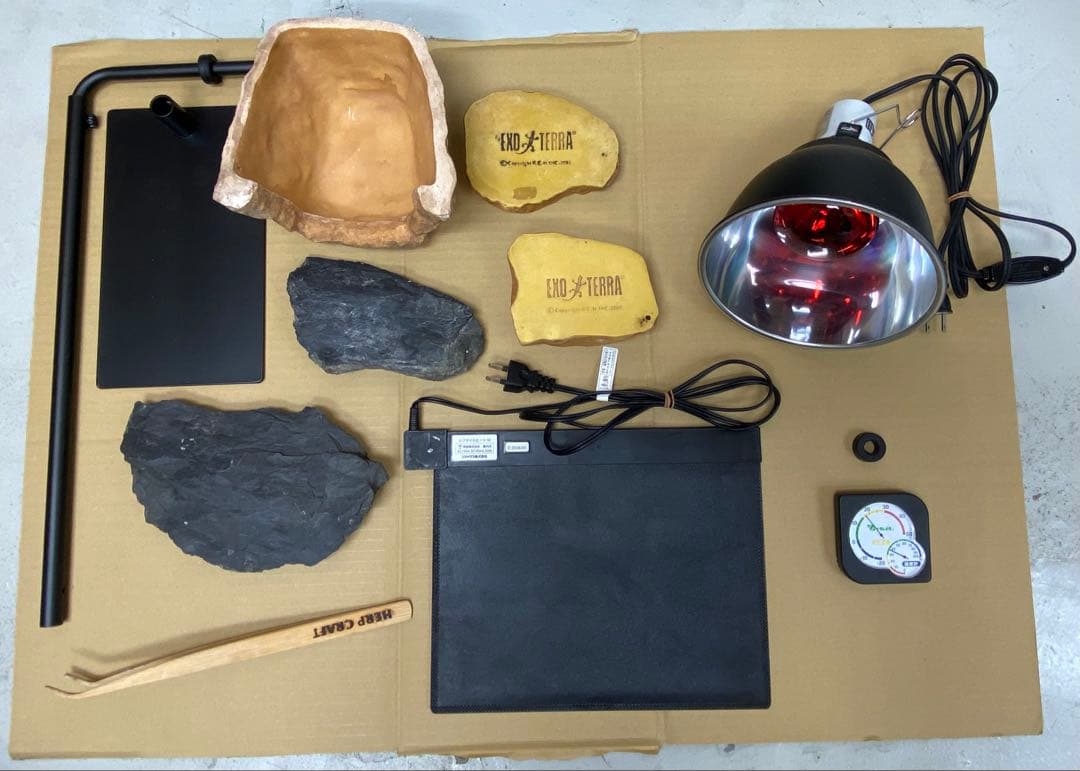 EXOTERRA 爬虫類・両生類用 グラステラリウム 照明付き 付属品多数