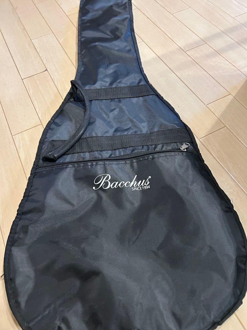 ギター Bacchus Limited Edition BLP-STD 1956 GT